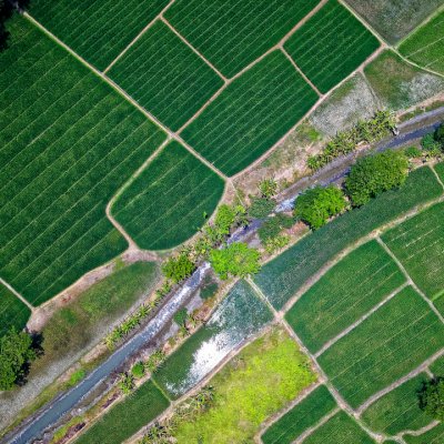 Raportul startup-urilor agritech din România: 50 de companii în ecosistem