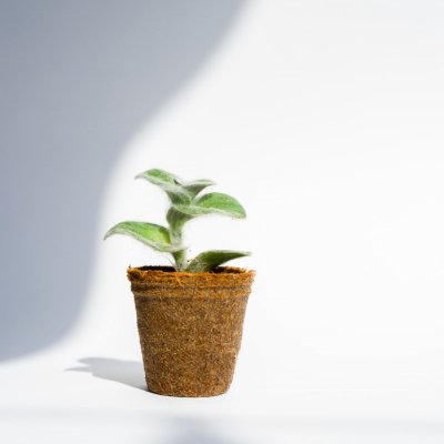 Circular Economy Hackathon: concurs de soluții în domeniul economiei circulare