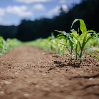 AgriTech Hackathon, câștigătorii: soluțiile care modernizează agricultura