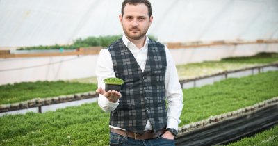 Microgreens: cum faci venituri mari din plante foarte mici în România
