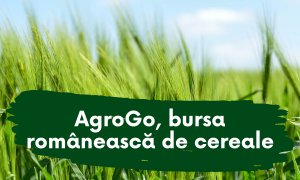 AgroGo, românii care le spun fermierilor prețul corect pentru produsele lor