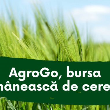 AgroGo, românii care le spun fermierilor prețul corect pentru produsele lor