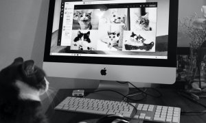 Patru site-uri inedite pe care să le vizitezi ”just for fun”