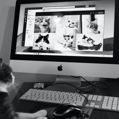 Patru site-uri inedite pe care să le vizitezi ”just for fun”