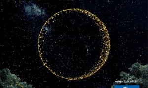 UNIQA Asigurări, parteneriat cu UNTOLD