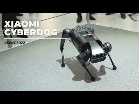 Xiaomi Cyberdog: Câinele robot care ți-ar putea păzi casa sau afacerea