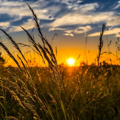 Raport: 50 de startup-uri agritech de urmărit din România în momentul acesta