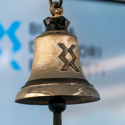 Legea care simplifică impozitarea investitorilor pe bursă, adoptată de Camera Deputaților