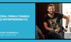 Zidul “Crinkle Crankle” și antreprenoriatul