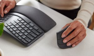 Care sunt criteriile după care românii aleg tastatura și mouse-ul