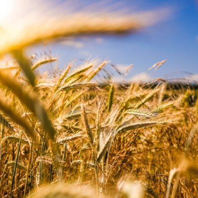 Holde Agri Invest atrage peste 20 mil. lei de la investitori pentru dezvoltare