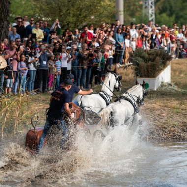 Karpatia Horse Show revine în 2022