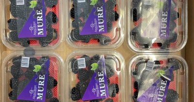 Abund Berry, 6 mil. € din vânzarea de fructe proaspete. Planuri pentru listare