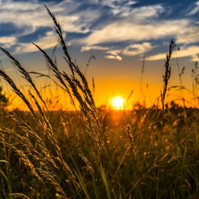Cele mai bune startup-uri agritech premiate la Nextcelerator