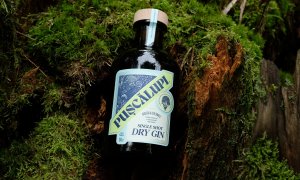 Pușcălupi - un gin românesc ca o declarație de dragoste pentru botanică