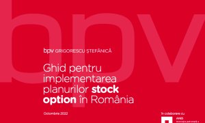 Ghid: Ce este ESOP și cum poate să ajute compania să se dezvolte?