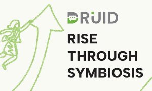 DRUID lansează Aplicațiile de Business Conversaționale. Ce presupune noua soluție