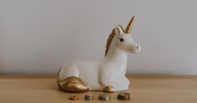 Inspirație de business: 1.200 de companii care au ajuns unicorn