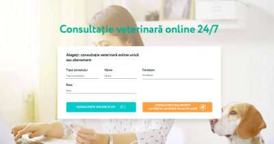 Vetonline: Ucrainenii care oferă consultații online pentru animalele de companie