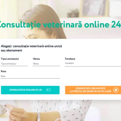 Vetonline: Ucrainenii care oferă consultații online pentru animalele de companie