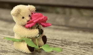 Ursulețul din trandafiri și cum poți să rămâi fără bani de Ziua Îndrăgostiților