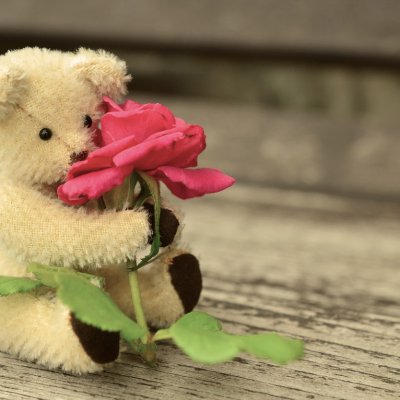 Ursulețul din trandafiri și cum poți să rămâi fără bani de Ziua Îndrăgostiților