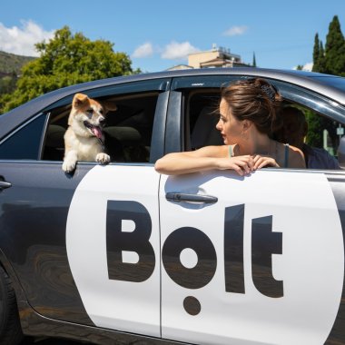 Bolt lansează Pet, pentru clienții care călătoresc cu animalele de companie