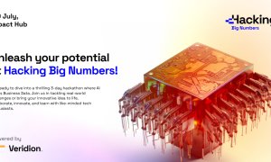 Veridion lansează Hacking Big Numbers, hackathon de AI & Big Data
