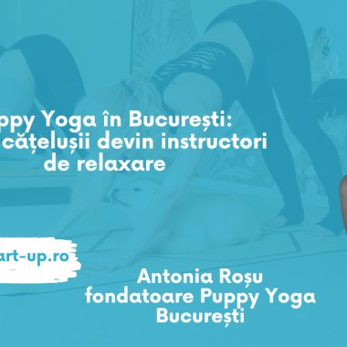 Puppy Yoga în București: când cățelușii devin instructori de relaxare