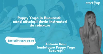 Puppy Yoga în București: când cățelușii devin instructori de relaxare