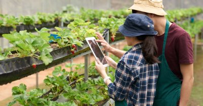 Beneficiile utilizării platformelor digitale în agricultură pentru fermierii la început de drum