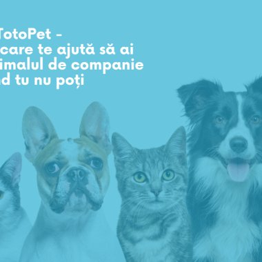 TotoPet, iubitorii de animale care au grijă de companionii tăi când tu nu poți