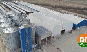 ING Bank finanțează cu 20 mil. € un producător de lapte din România