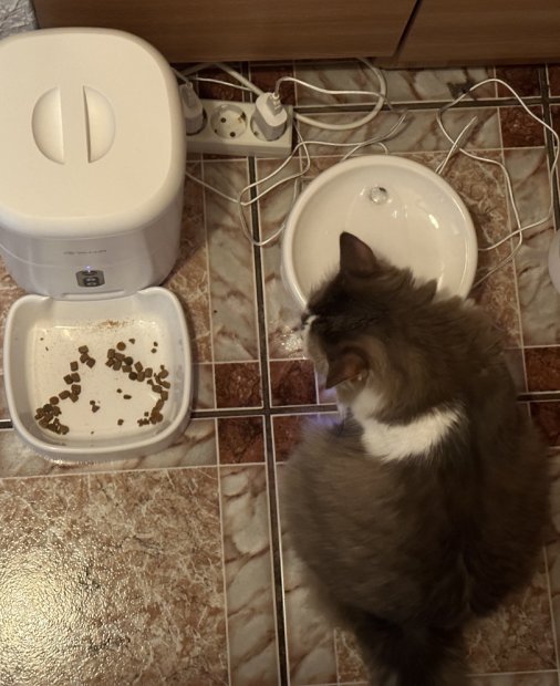 REVIEW Tellur Water Dispenser și Pet Feeder: indispensabile pentru cei cu animale de companie