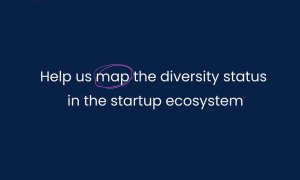 Romanian Startup Ecosystem diversity report. Founders can fill the survey