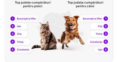 Trenduri: românii cheltuiesc lunar online 130 de lei pentru animale de companie