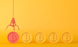 Cursuri de crypto la Universitatea din Oradea