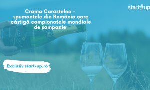 Carastelec - crama din România care câștigă campionatele mondiale de spumante