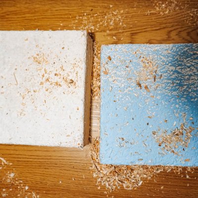 Ciupercile care ne ajută să construim societatea viitorului fără să o poluăm