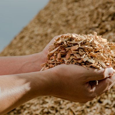 Bateriile cu litiu au o problemă de mediu. Lemnul poate fi alegerea sustenabilă