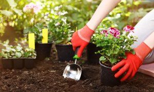 Armonie și ordine acasă: Soluții de depozitare inteligente pentru un spațiu impecabil