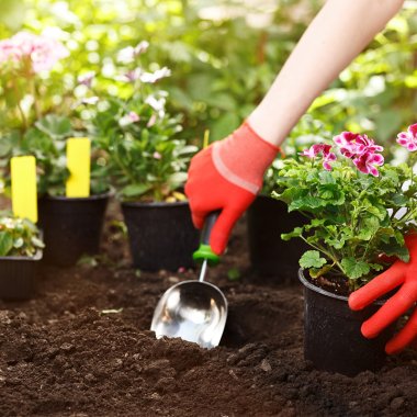 Armonie și ordine acasă: Soluții de depozitare inteligente pentru un spațiu impecabil