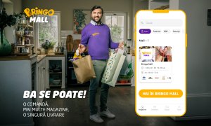 Bringo mall: rezultatele serviciului all-inclusive pentru cumpărături online