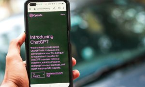 OpenAI a cheltuit mai mult de 10 milioane de dolari pe o adresă web