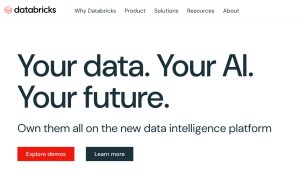 Databricks, startup cu fondatori români, investiție de 10 mld. dolari. Evaluare de 62 mld. $