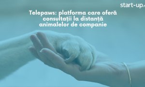 Telepaws: platforma care oferă consultații la distanță animalelor de companie