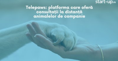 Telepaws: platforma care oferă consultații la distanță animalelor de companie