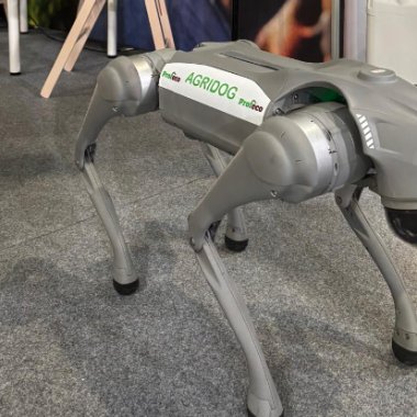 Câinele-robot care poate monitoriza culturile agricole din România
