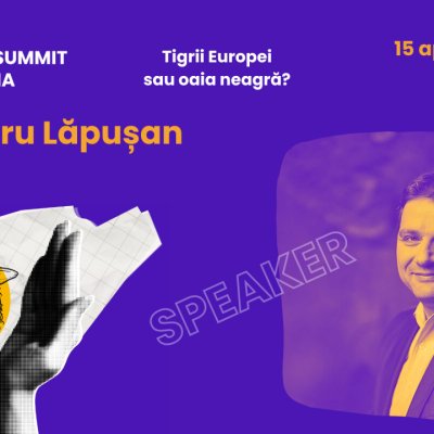 Alexandru Lăpușan, Zitec | <span class=