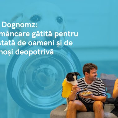 <span class="title-highlight">Dognomz</span>: livrare de mâncare gătită pentru căței